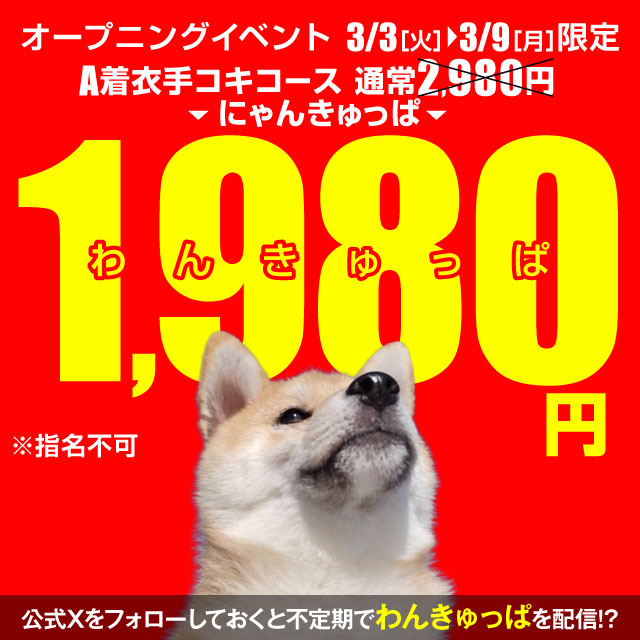 ��񂫂���σC�x���g�J�ÁI